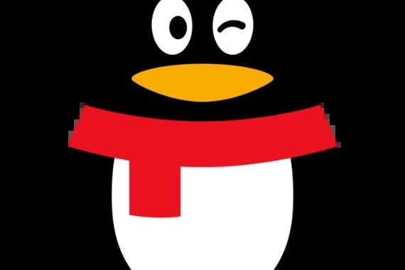 加qq号怎么加？